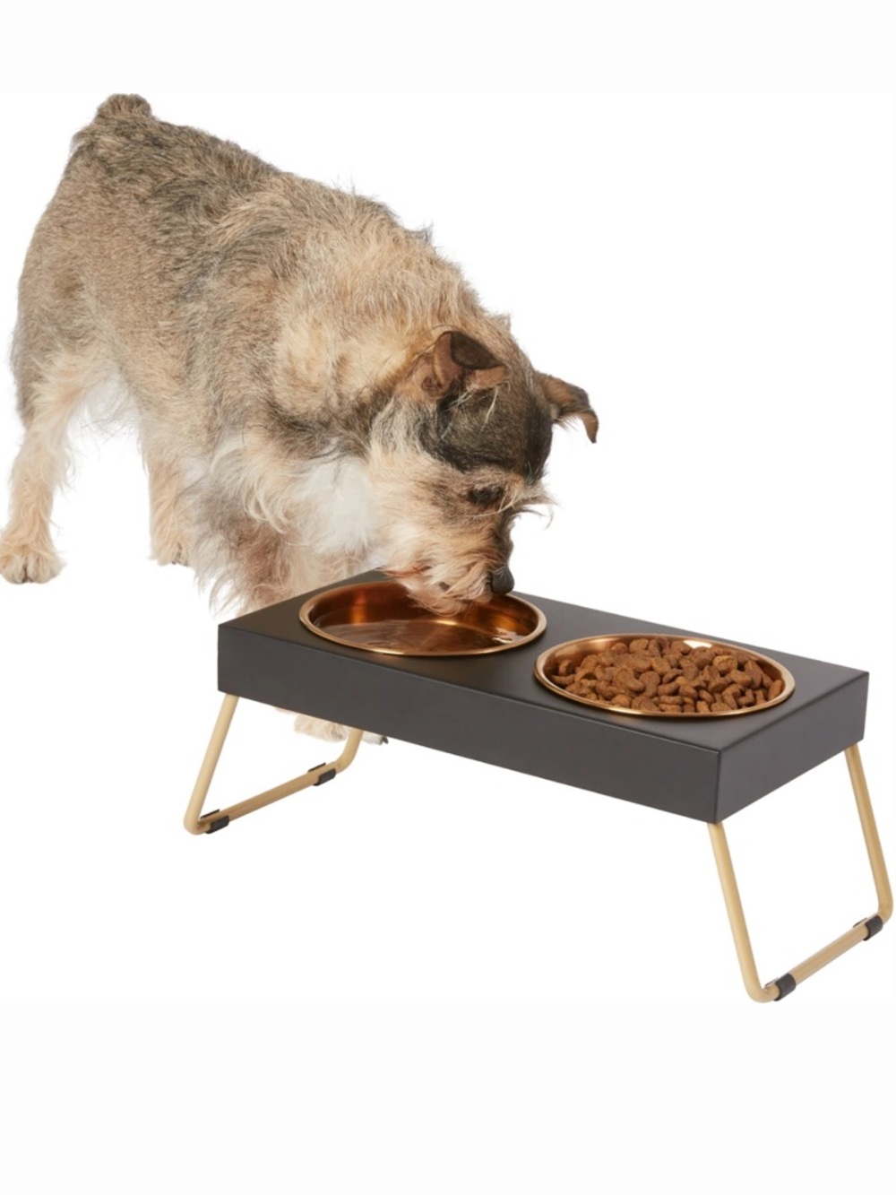 Elevated Foldable Pet Bowls